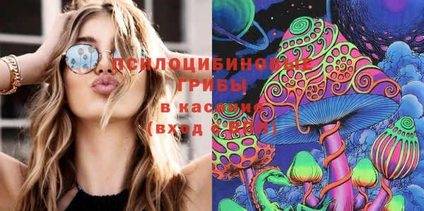 бутират Алзамай