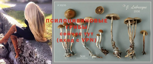 MESCALINE Абинск