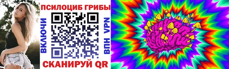 Псилоцибиновые грибы Psilocybe  Разумное 